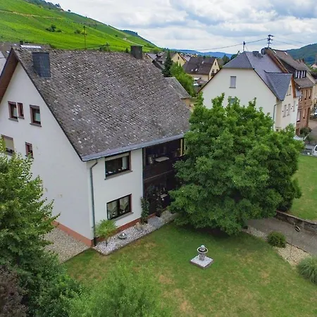 Moselhaus * Zeltingen-Rachtig