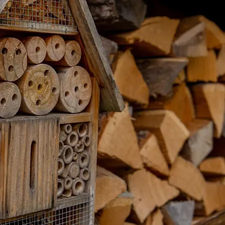 Moselhaus Bed and Breakfast 3*