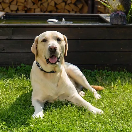 Moselhaus Bed and Breakfast 3*