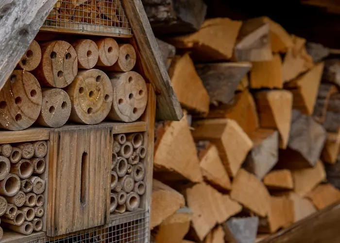 Moselhaus Alojamento de Acomodação e Pequeno-almoço 3*