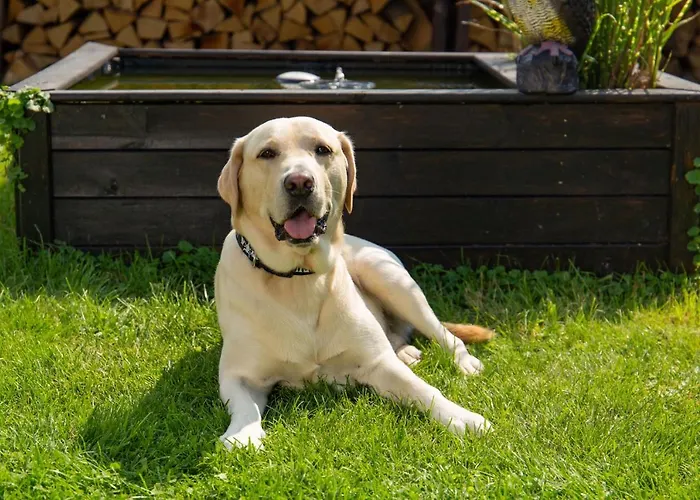 Moselhaus Bed & Breakfast 3*